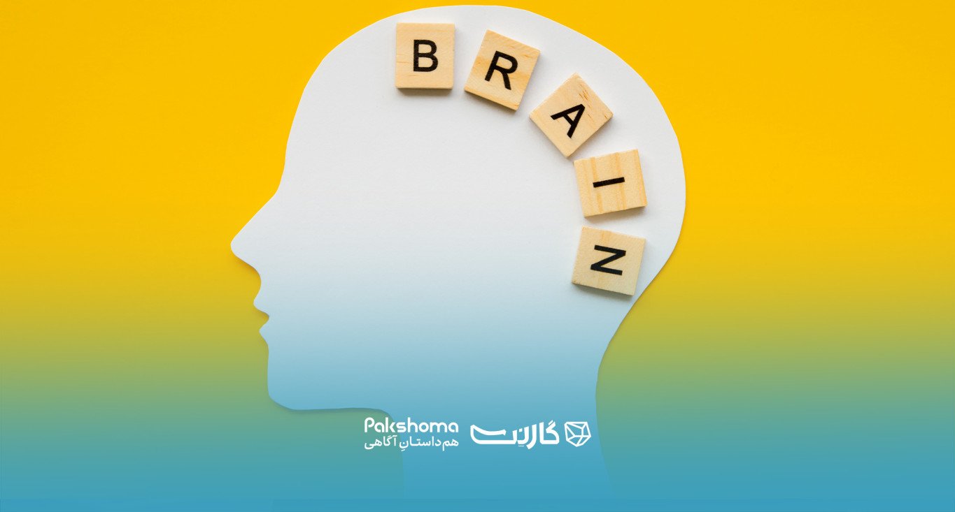 تقویت هوش کلامی در چند گام ساده