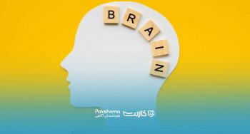 تقویت هوش کلامی در چند گام ساده